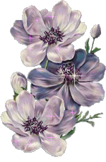 nature_07.gif